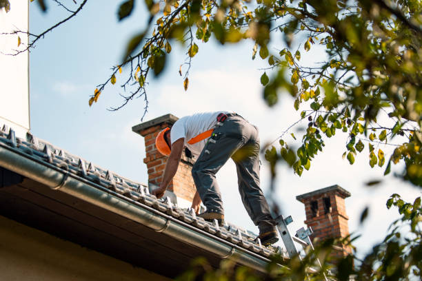 Best Chimney Flashing Repair  in Sullivan, IL