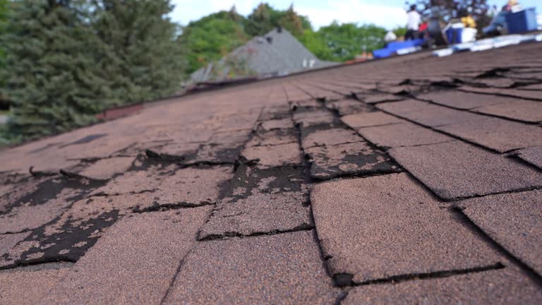 Best Flat Roofing  in Sullivan, IL